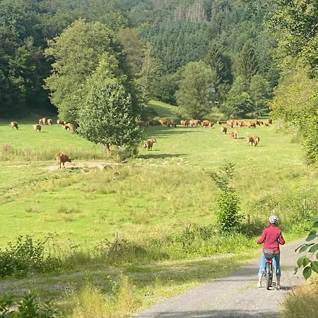 Staehbachtal Lejlighed *